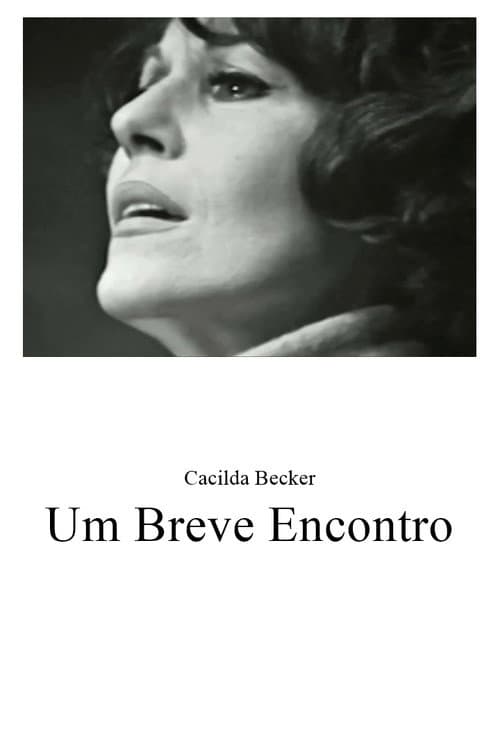 Um Breve Encontro poster