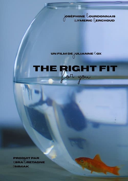 The Right Fit For You poster