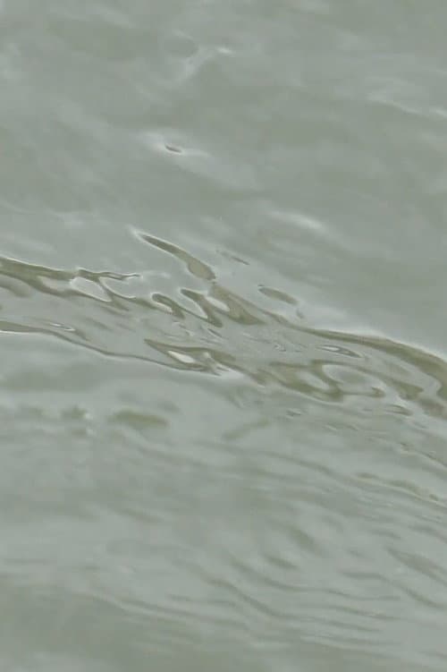 entre les vagues (un hommage) poster