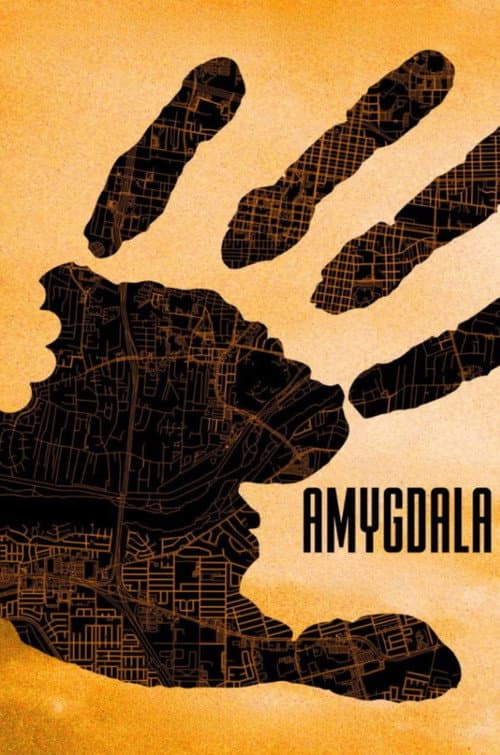 AMYGDALA poster