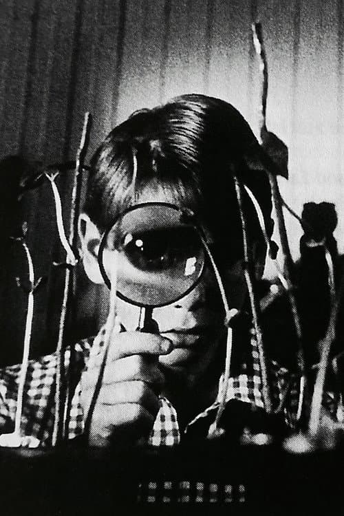 Vinaya poster