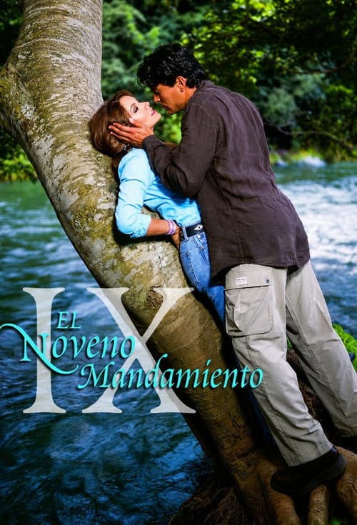 El Noveno mandamiento poster