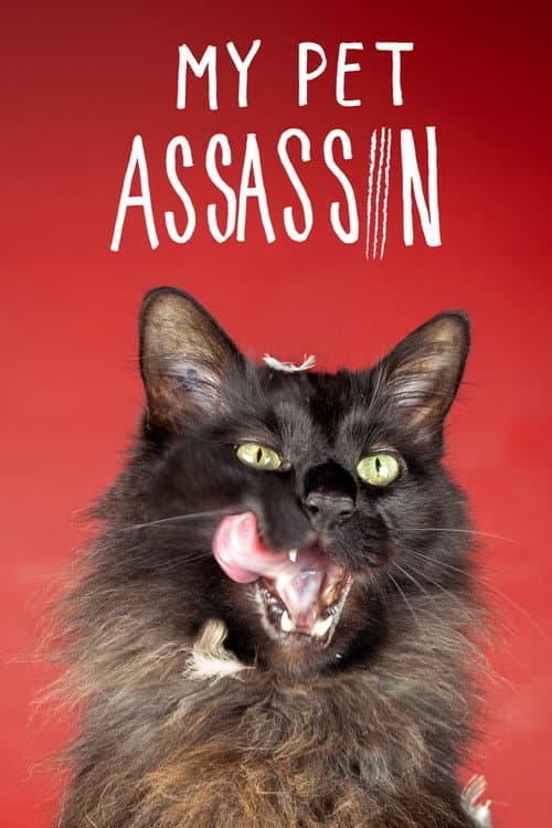 My Pet Assassin poster
