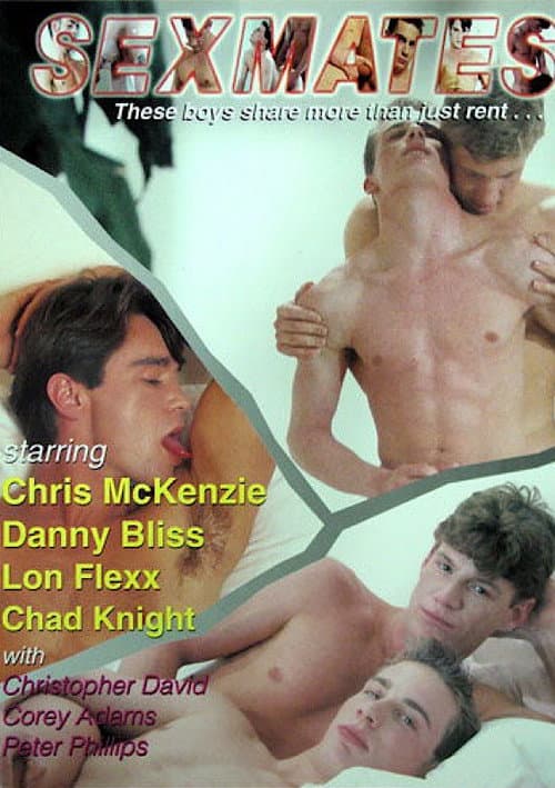 Sexmates poster