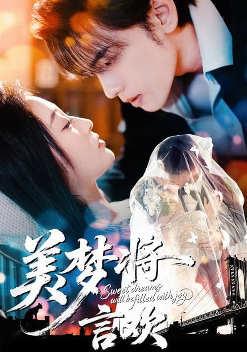 美梦将言欢 poster