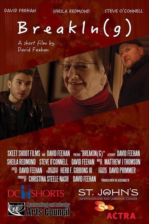 BreakIn(g) poster