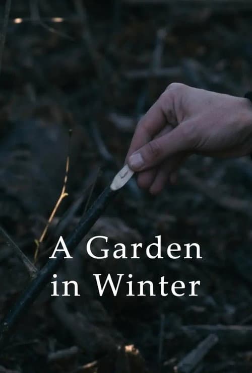 A Garden in Winter poster