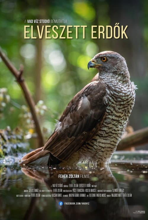 Lost Forests poster