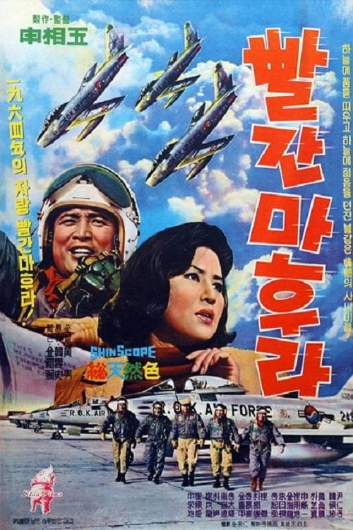 Red Scarf poster