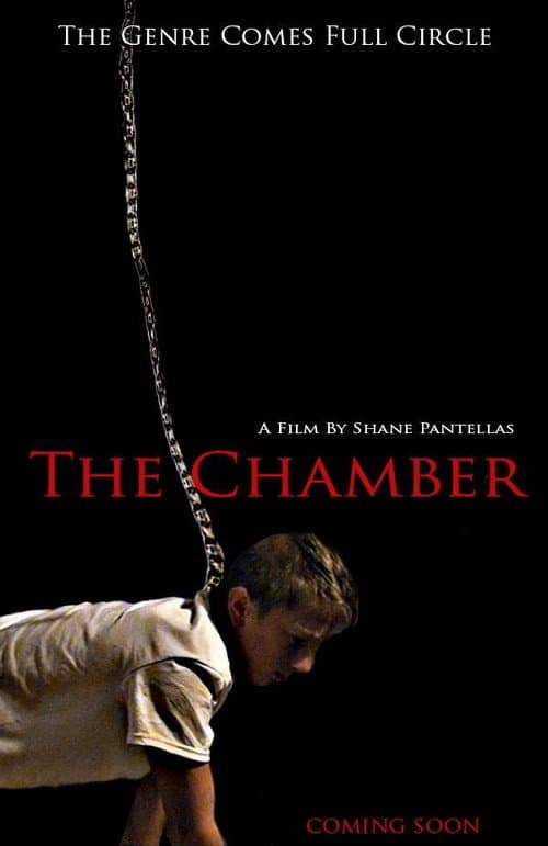 The Chamber poster