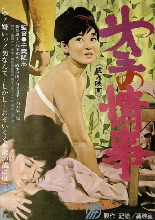Dai san no jôji poster