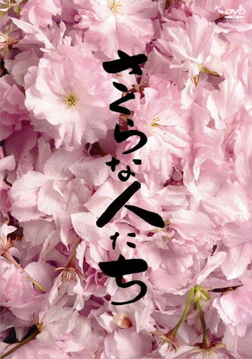 Looking for Cherry Blossoms poster
