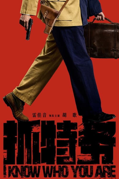 I Know Who You Are poster