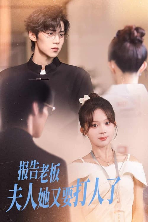 报告老板，夫人她又要打人了 poster