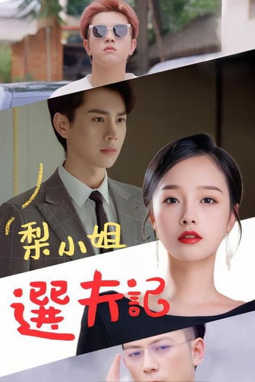 梨小姐选夫记 poster