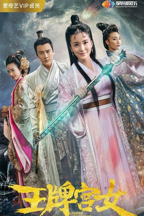 Super Housemaid poster