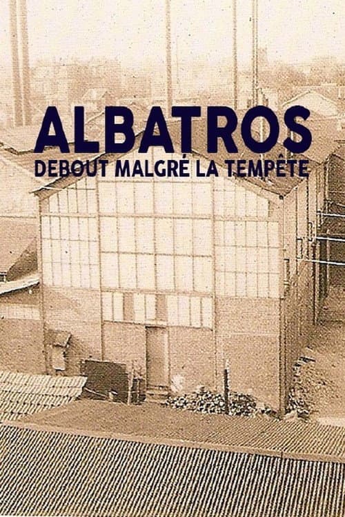 Albatros, debout malgrĂ© la tempĂȘte poster