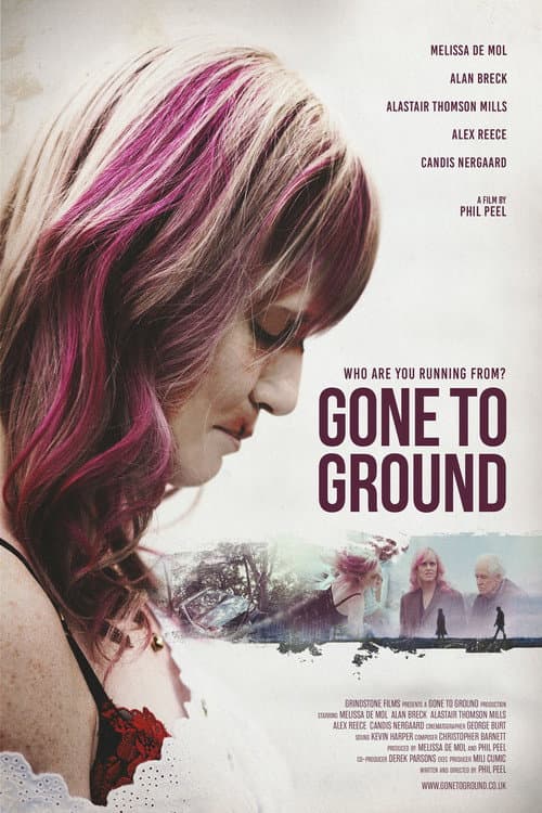 Gone to Ground poster