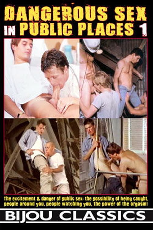 Dangerous Sex in Public Places 1 poster