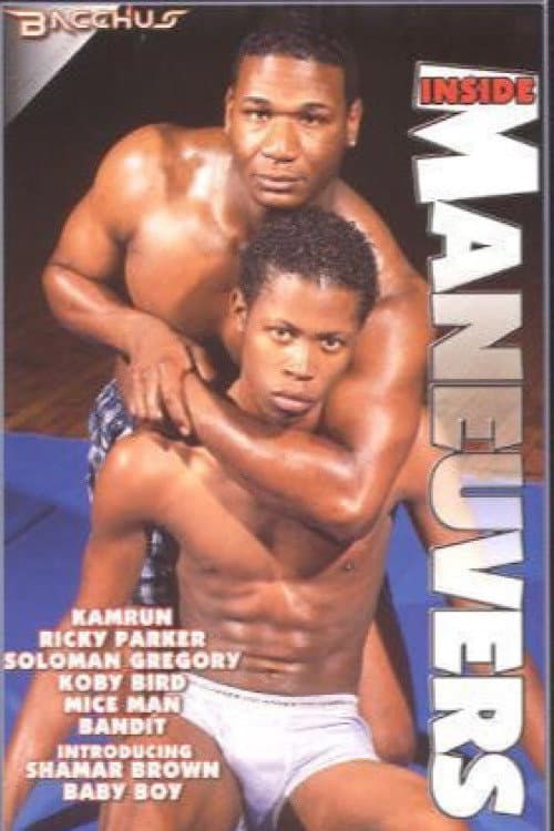 Inside Maneuvers poster