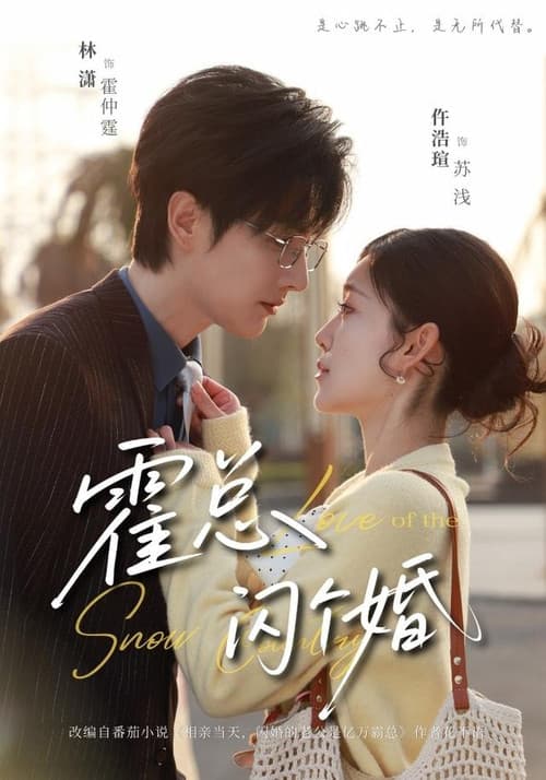 霍总，闪个婚 poster