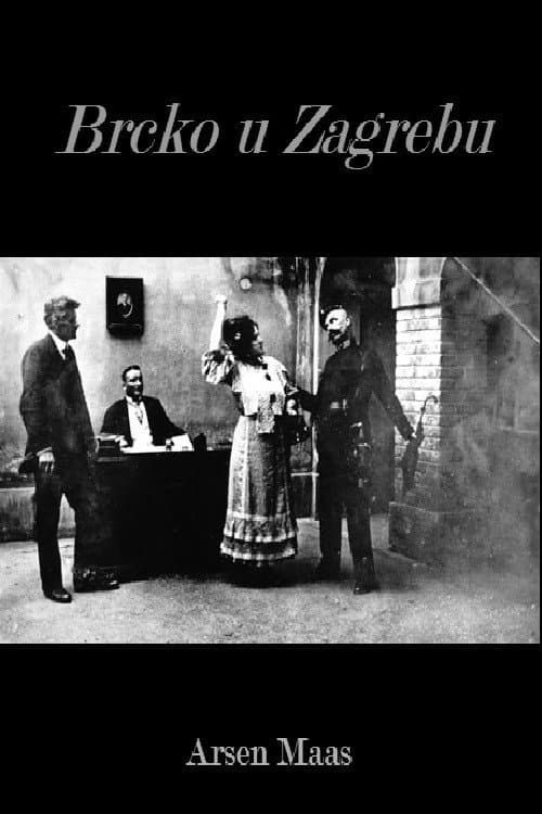 Brcko in Zagreb poster
