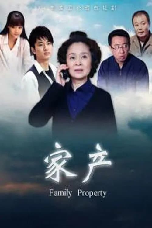 Family Property poster