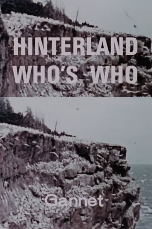 Hinterland Who's Who: Gannet poster