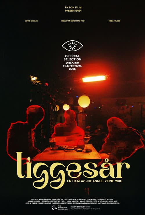 Liggesår poster