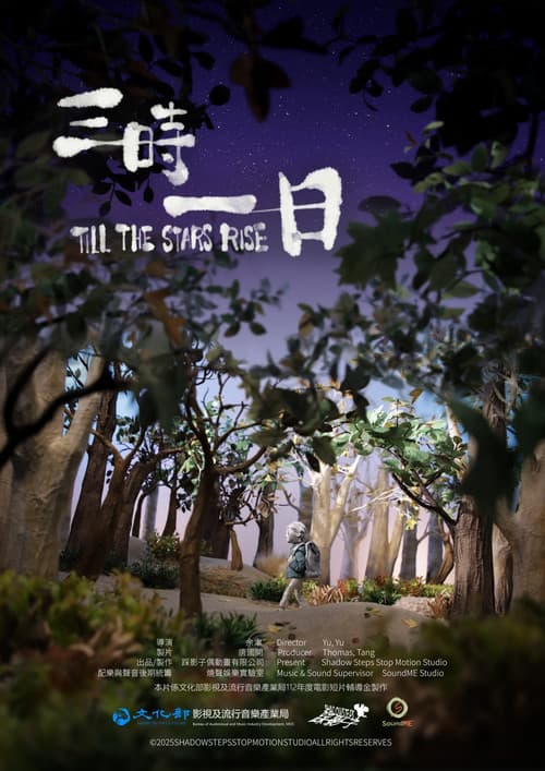 Till the Stars Rise poster