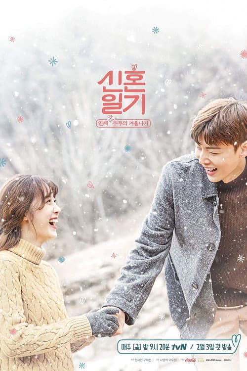 Newlyweds Diary poster