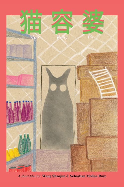 Cat Rong Po poster