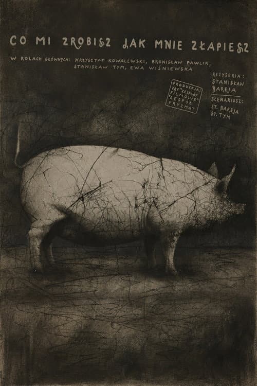 What Will You Do When You Catch Me? poster