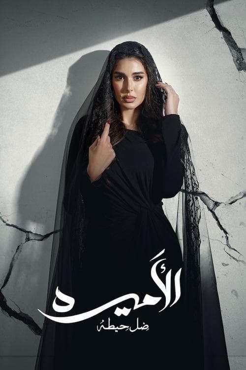Al-Ameera: Thill Haita poster