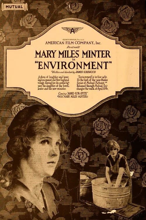 Environment poster