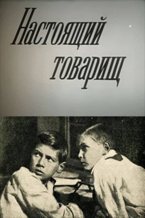 A True Comrade poster