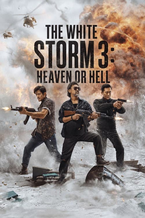 The White Storm 3: Heaven or Hell poster