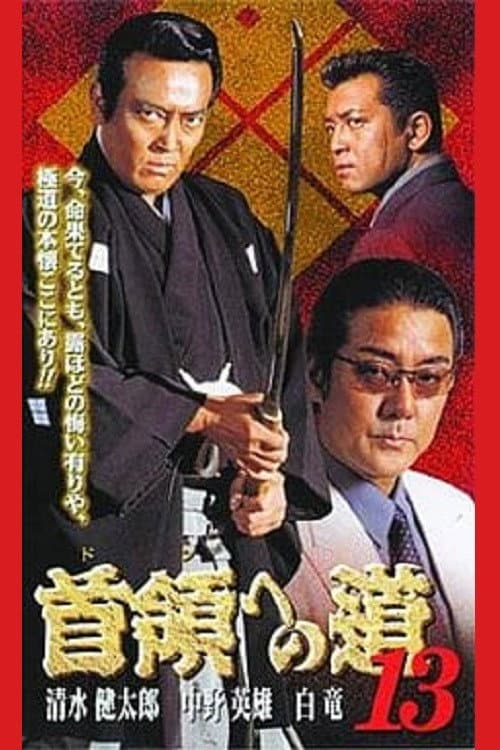 Road to the Don 13 poster