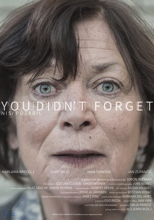 You Didn't Forget poster