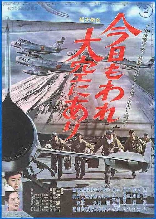 Tiger Flight poster