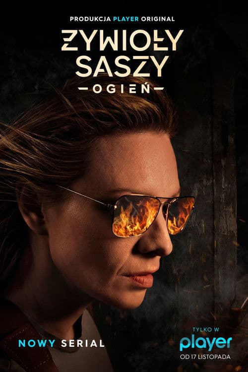 The Elements of Sasza poster