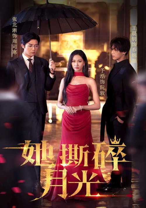 她撕碎月光 poster