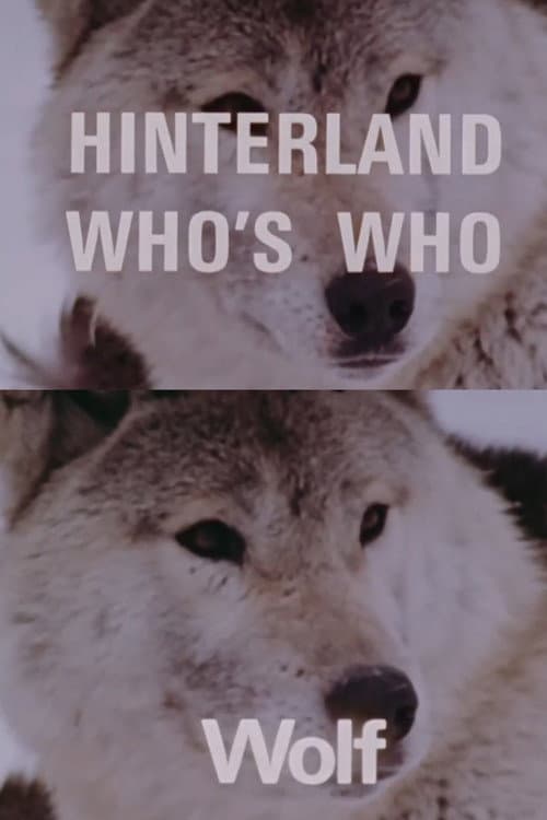 Hinterland Who's Who: Wolf poster
