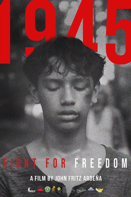 1945: Fight For Freedom poster