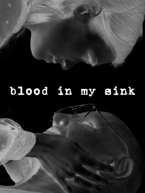 Blood in my Sink poster