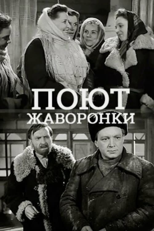 Поют жаворонки poster