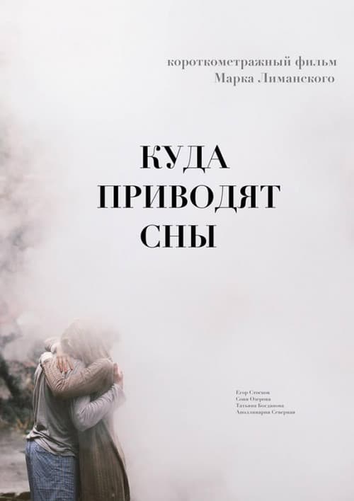 I Want To See You In My Dreams poster