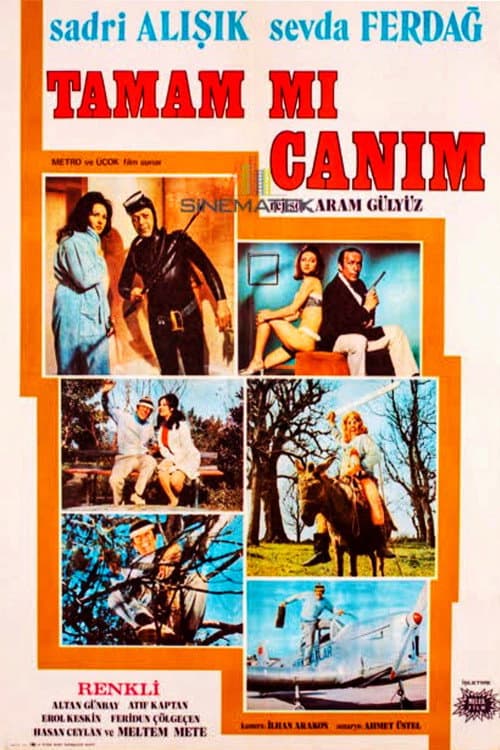 Tamam mı Canım poster