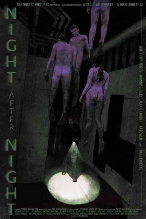 Night After Night poster