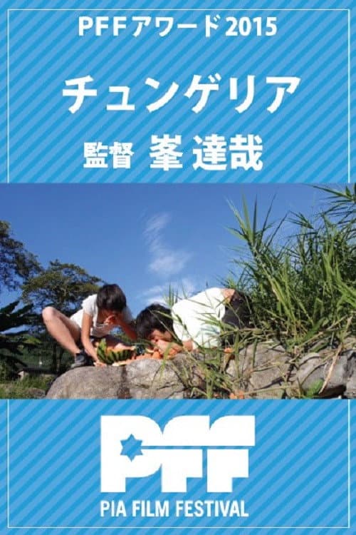 Chungueria poster